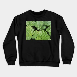 Rhubarb Leaves Crewneck Sweatshirt